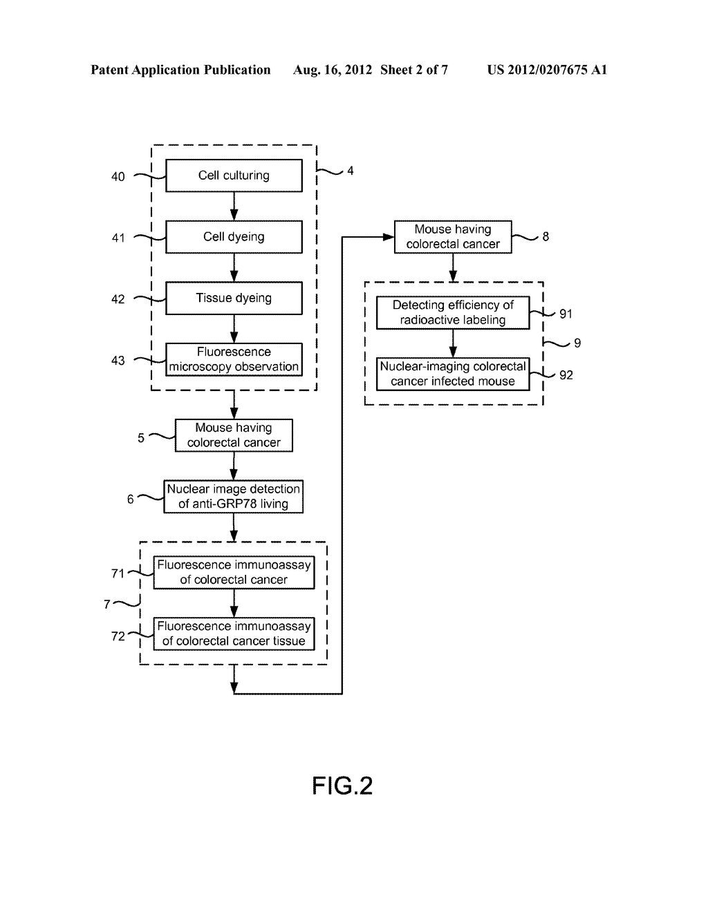 Method of Colorectal Cancer Detection by Using Radiolabeled Anti-GRP78     Peptide - diagram, schematic, and image 03