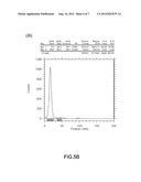 Method of Colorectal Cancer Detection by Using Radiolabeled Anti-GRP78     Peptide diagram and image