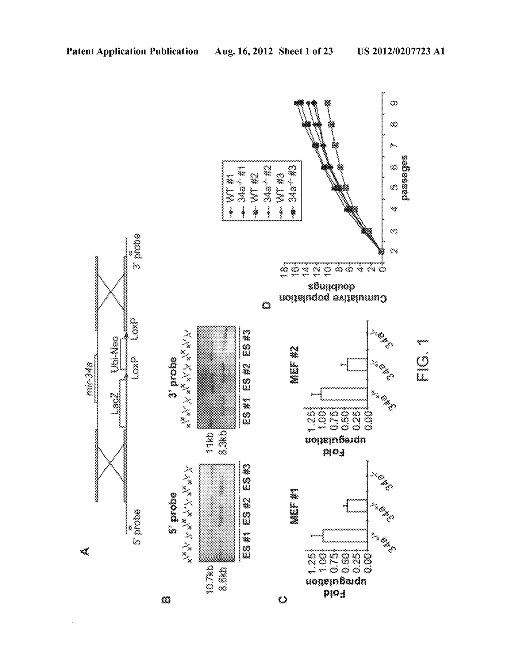 COMPOSITIONS AND METHODS FOR GENERATING INDUCED PLURIPOTENT STEM CELLS - diagram, schematic, and image 02