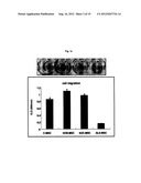 Compositions for Improving Migration Potential of Stem Cells diagram and image