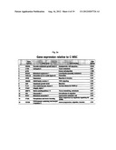 Compositions for Improving Migration Potential of Stem Cells diagram and image