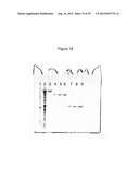 NON-CYTOTOXIC PROTEIN CONJUGATES diagram and image