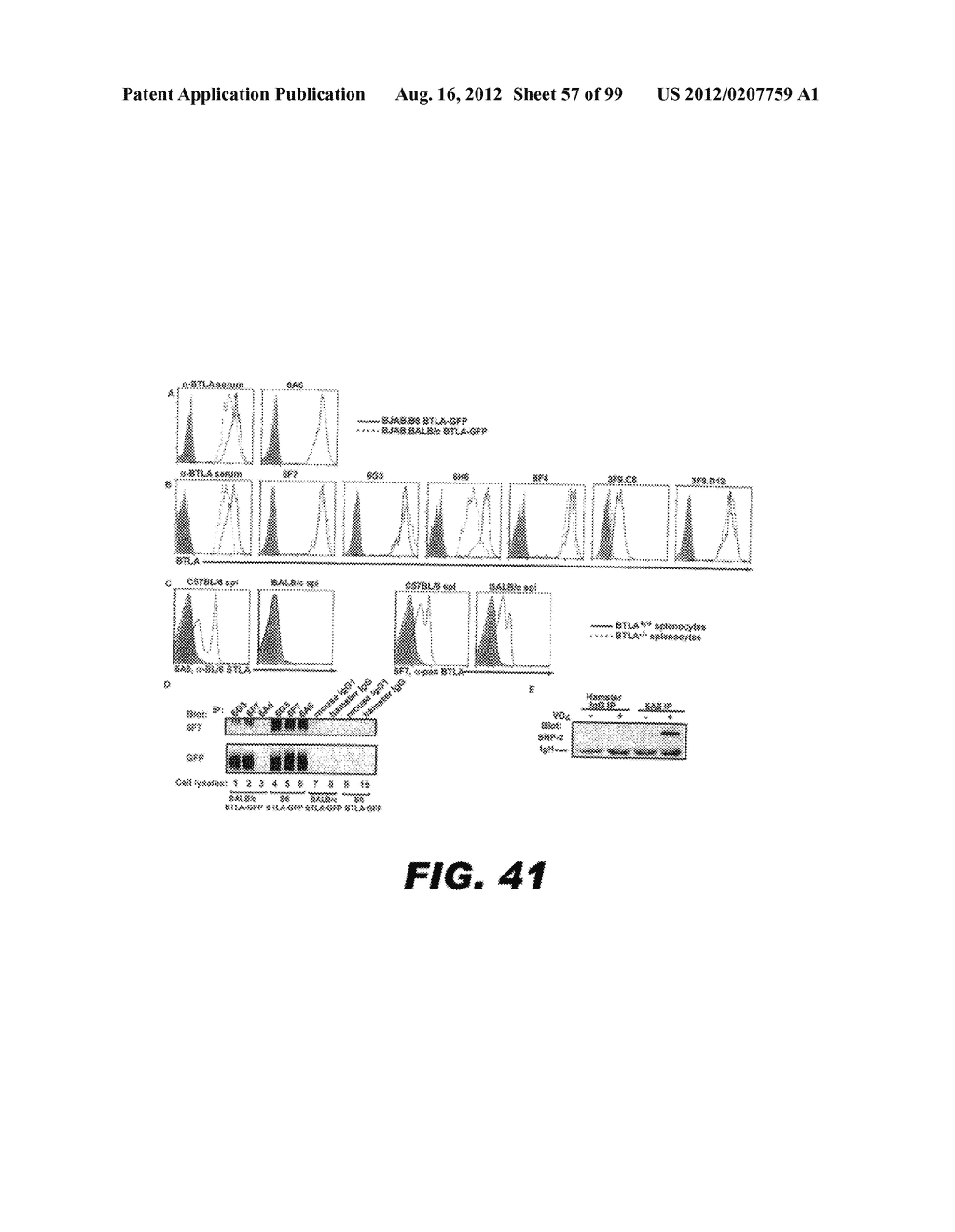 COMPOSITIONS AND METHODS FOR MODULATING LYMPHOCYTE ACTIVITY - diagram, schematic, and image 58