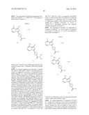 Combined Treatment with an EGFR Kinase Inhibitor and an Agent that     Sensitizes Tumor Cells to the Effects of EGFR Kinase Inhibitors diagram and image