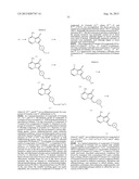 Combined Treatment with an EGFR Kinase Inhibitor and an Agent that     Sensitizes Tumor Cells to the Effects of EGFR Kinase Inhibitors diagram and image