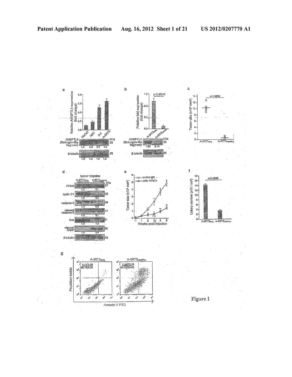 ANTIPROLIFERATIVE AGENT - diagram, schematic, and image 02