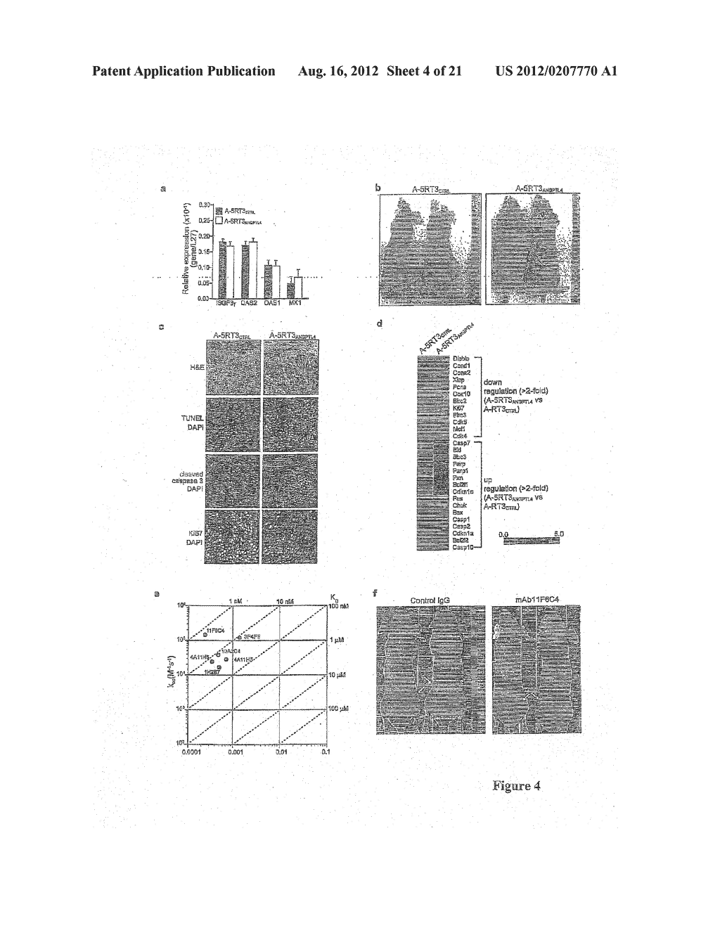 ANTIPROLIFERATIVE AGENT - diagram, schematic, and image 05