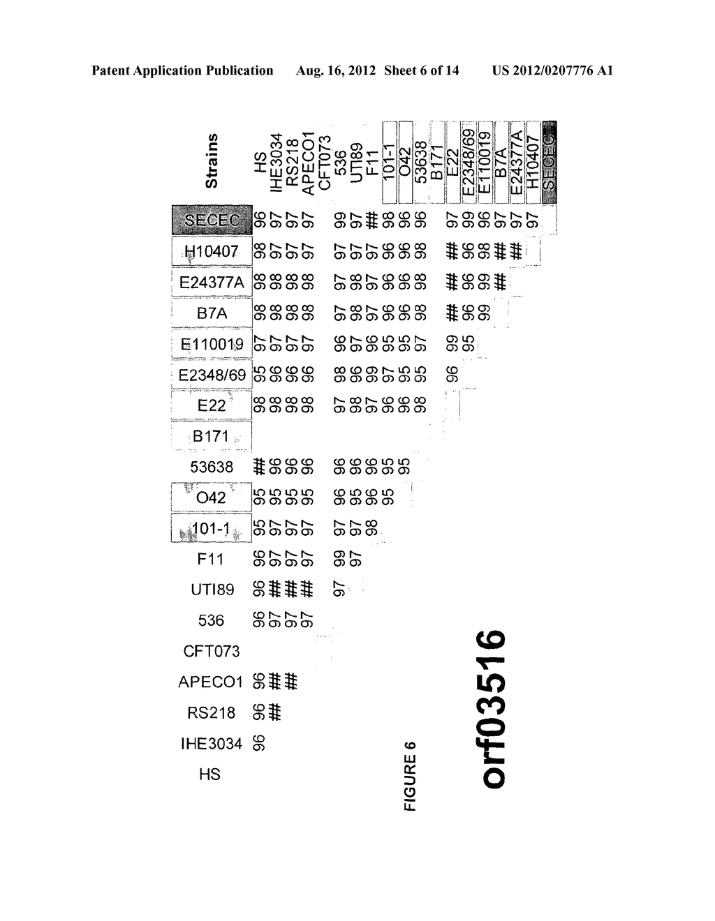 CONSERVED ESCHERICHIA COLI IMMUNOGENS - diagram, schematic, and image 07