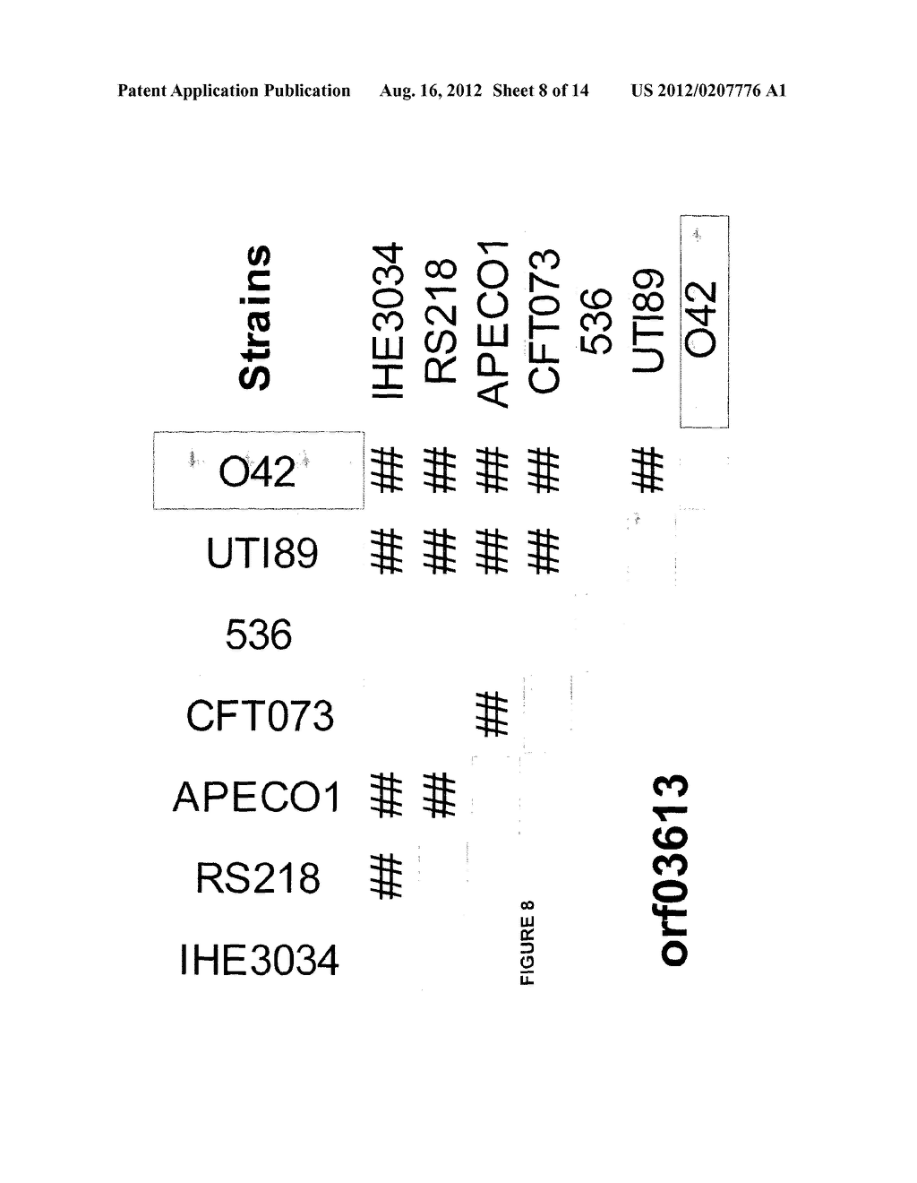 CONSERVED ESCHERICHIA COLI IMMUNOGENS - diagram, schematic, and image 09