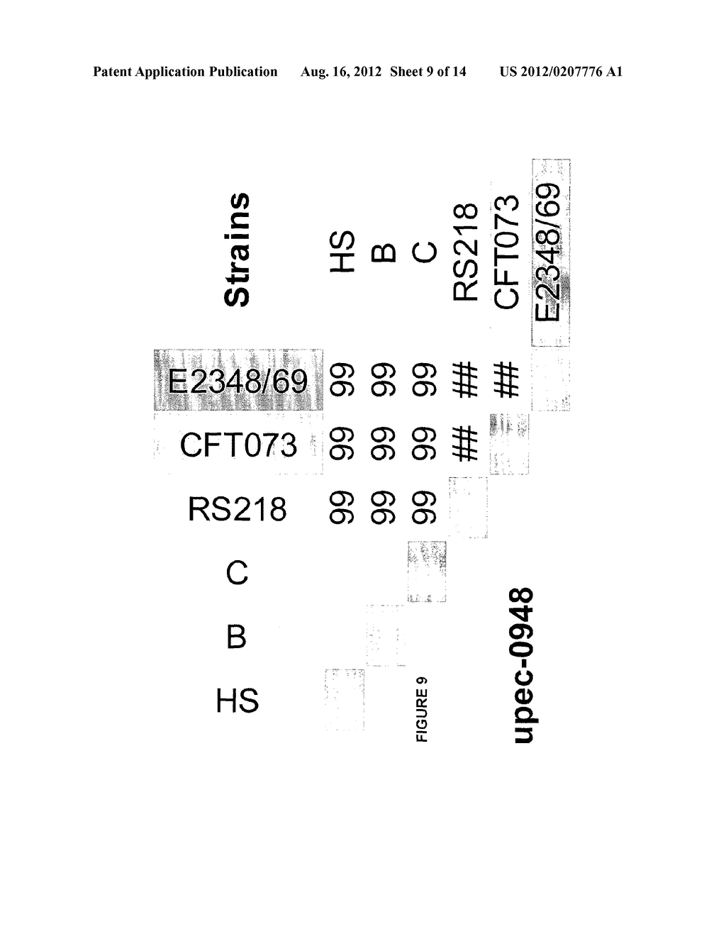 CONSERVED ESCHERICHIA COLI IMMUNOGENS - diagram, schematic, and image 10