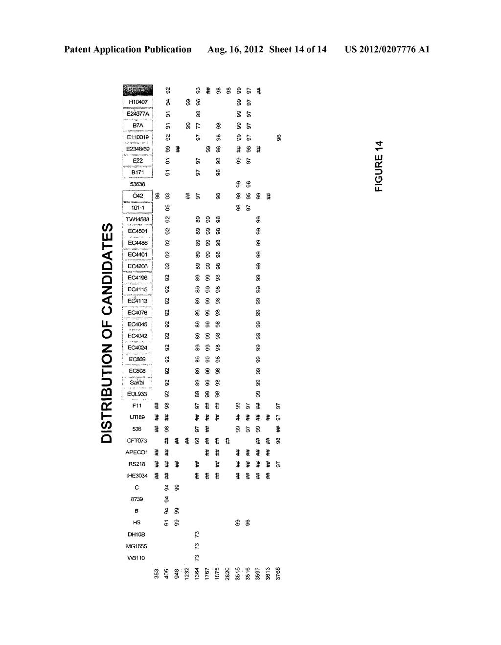 CONSERVED ESCHERICHIA COLI IMMUNOGENS - diagram, schematic, and image 15