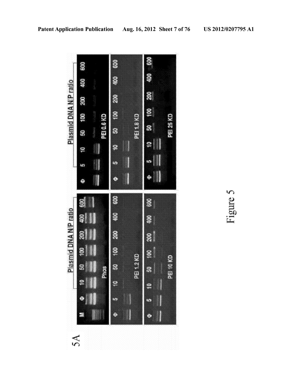 CATIONIC POLYMER COATED MESOPOROUS SILICA NANOPARTICLES AND USES THEREOF - diagram, schematic, and image 08