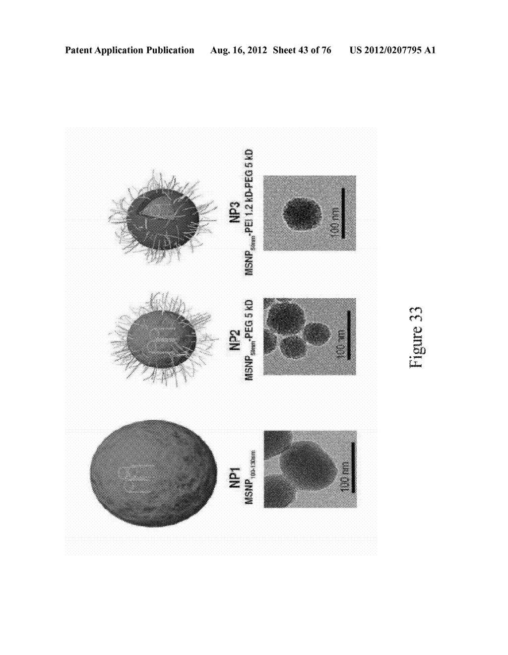 CATIONIC POLYMER COATED MESOPOROUS SILICA NANOPARTICLES AND USES THEREOF - diagram, schematic, and image 44