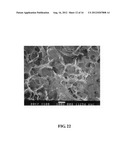 DEVICES AND METHODS FOR TREATING DEFECTS IN THE TISSUE OF A LIVING BEING diagram and image