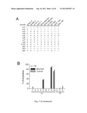 SMALL INTERFERING RNAS AND METHODS FOR PREVENTION, INHIBITION AND/OR     TREATMENT OF MALIGNANT PROGRESSION OF BREAST CANCER diagram and image