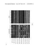 SMALL INTERFERING RNAS AND METHODS FOR PREVENTION, INHIBITION AND/OR     TREATMENT OF MALIGNANT PROGRESSION OF BREAST CANCER diagram and image