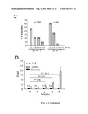 SMALL INTERFERING RNAS AND METHODS FOR PREVENTION, INHIBITION AND/OR     TREATMENT OF MALIGNANT PROGRESSION OF BREAST CANCER diagram and image