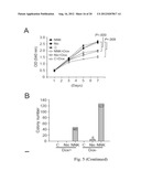 SMALL INTERFERING RNAS AND METHODS FOR PREVENTION, INHIBITION AND/OR     TREATMENT OF MALIGNANT PROGRESSION OF BREAST CANCER diagram and image