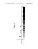 FORMS OF RIFAXIMIN AND USES THEREOF diagram and image