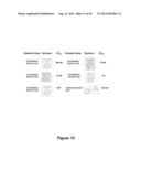 ORAL INHIBITORS OF AGE-RELATED NADH OXIDASE (arNOX), COMPOSITIONS AND     NATURAL SOURCES diagram and image