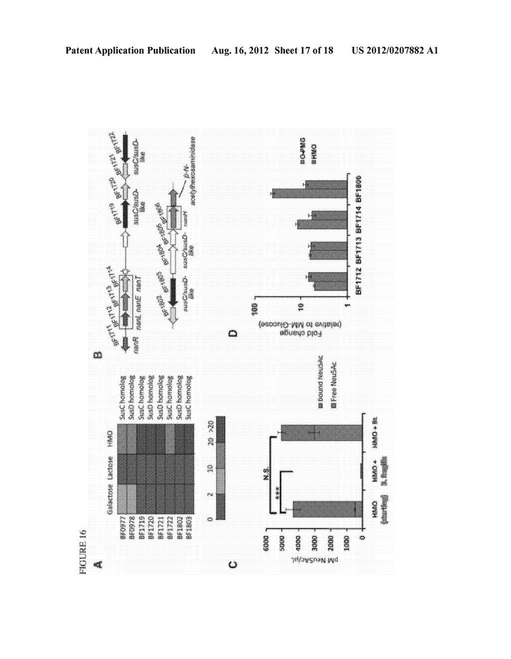 THERAPEUTIC USE OF MUCIN GLYCANS - diagram, schematic, and image 18