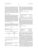 POLARIZING PLATE AND LIQUID CRYSTAL DISPLAY EMPLOYING THE SAME diagram and image