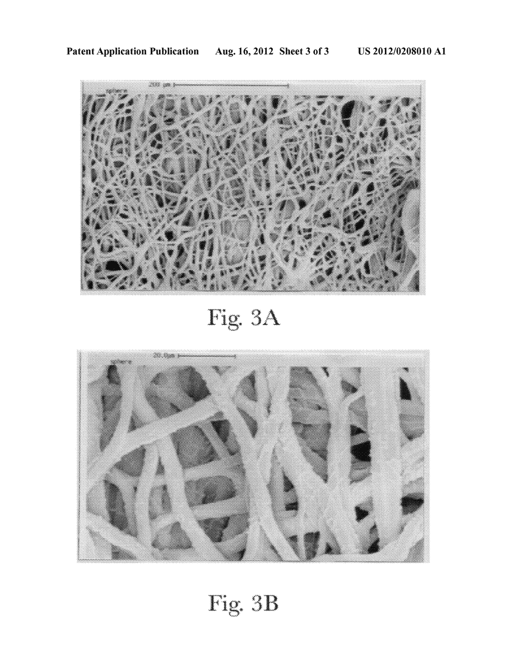 FIBER COMPRISING STARCH AND A HIGH POLYMER - diagram, schematic, and image 04