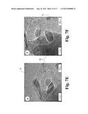 HIGH SURFACE AREA NANO-STRUCTURED GRAPHENE COMPOSITES AND CAPACITIVE     DEVICES INCORPORATING THE SAME diagram and image