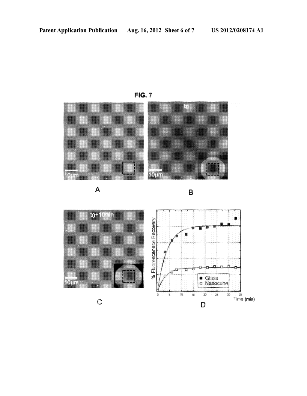 Plasmonic System for Detecting Binding of Biological Molecules - diagram, schematic, and image 07