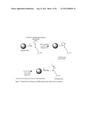 METHODS FOR ISOLATION, IDENTIFICATION, AND QUANTIFICATION OF MIRNAS diagram and image