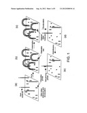 Preparation of Templates for Nucleic Acid Sequencing diagram and image