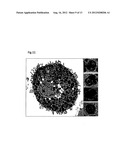 METHOD FOR PRODUCING MAST CELLS FROM PLURIPOTENT STEM CELLS diagram and image