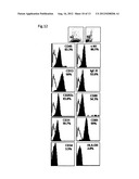 METHOD FOR PRODUCING MAST CELLS FROM PLURIPOTENT STEM CELLS diagram and image