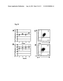 METHOD FOR PRODUCING MAST CELLS FROM PLURIPOTENT STEM CELLS diagram and image