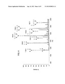 RAPID SACCHARIDE BIOMARKER ASSAY diagram and image