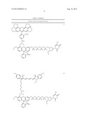 FLUORESCENCE RESONANCE ENERGY TRANSFER ENZYME SUBSTRATES diagram and image