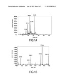 NOVEL METHOD FOR QUANTIFYING PROTEINS BY MASS SPECTROMETRY diagram and image