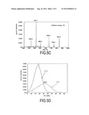 NOVEL METHOD FOR QUANTIFYING PROTEINS BY MASS SPECTROMETRY diagram and image