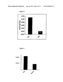 ENHANCEMENT OF PROTEIN PRODUCTION IN EUKARYOTIC CELLS diagram and image