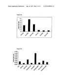 ENHANCEMENT OF PROTEIN PRODUCTION IN EUKARYOTIC CELLS diagram and image