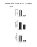 ENHANCEMENT OF PROTEIN PRODUCTION IN EUKARYOTIC CELLS diagram and image