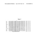 DNA POLYMERASES WITH INCREASED  3 -MISMATCH DISCRIMINATION diagram and image