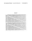 DNA POLYMERASES WITH INCREASED  3 -MISMATCH DISCRIMINATION diagram and image