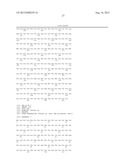 DNA POLYMERASES WITH INCREASED  3 -MISMATCH DISCRIMINATION diagram and image