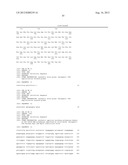 DNA POLYMERASES WITH INCREASED  3 -MISMATCH DISCRIMINATION diagram and image