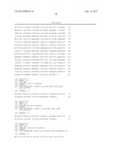 DNA POLYMERASES WITH INCREASED  3 -MISMATCH DISCRIMINATION diagram and image