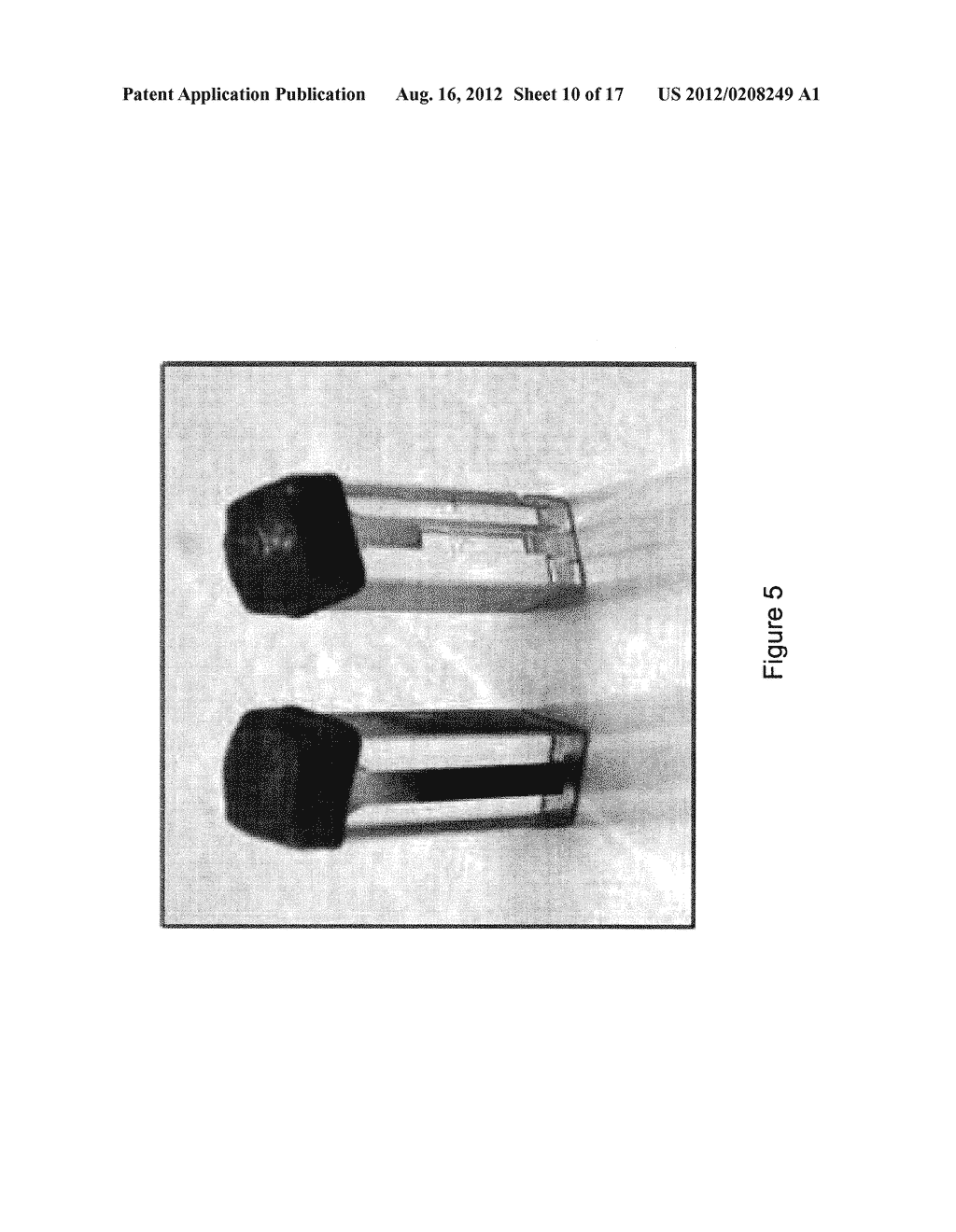 MICROORGANISMS AND METHODS FOR CONVERSION OF SYNGAS AND OTHER CARBON     SOURCES TO USEFUL PRODUCTS - diagram, schematic, and image 11