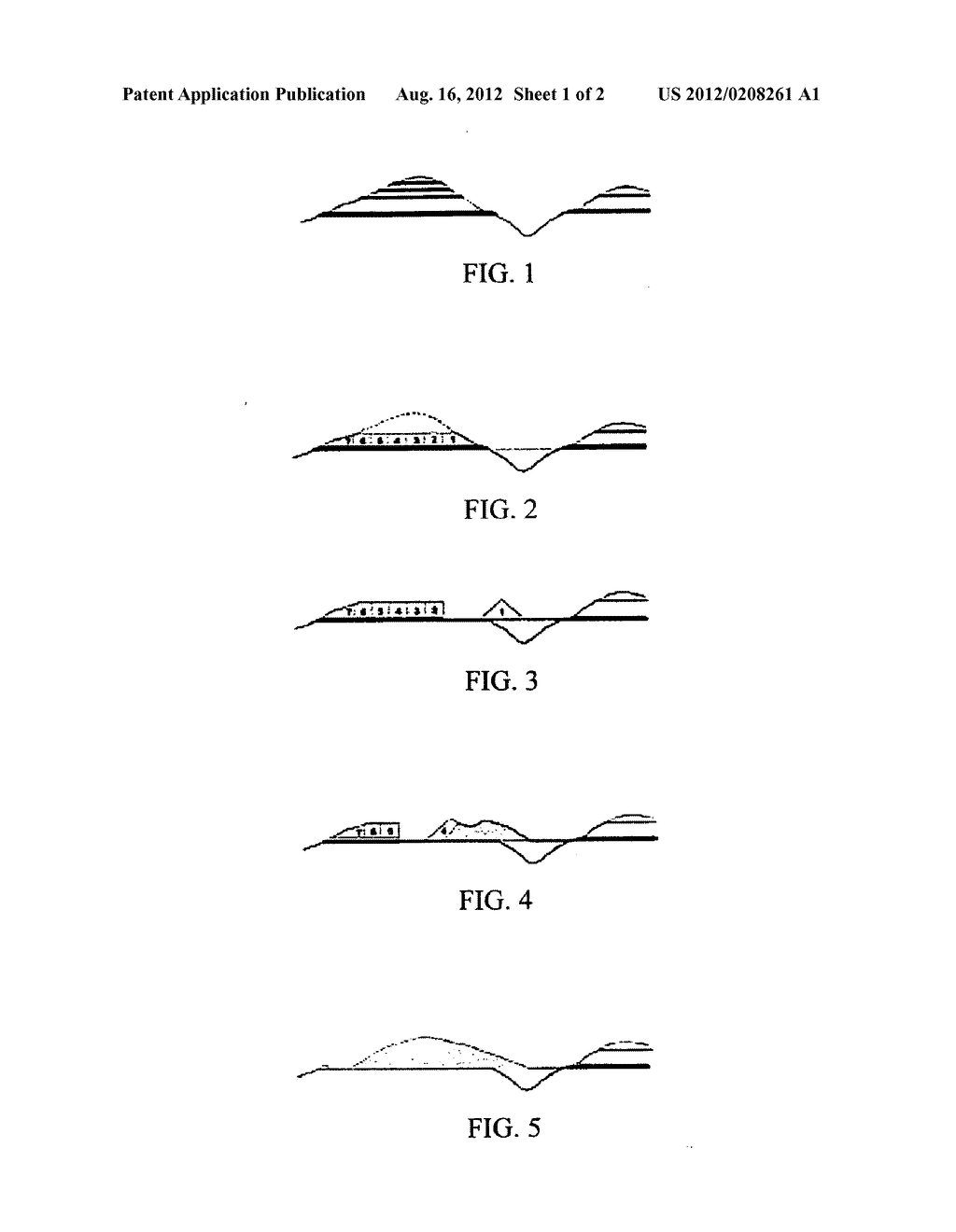 Method of removing heavy metals in soils and water - diagram, schematic, and image 02