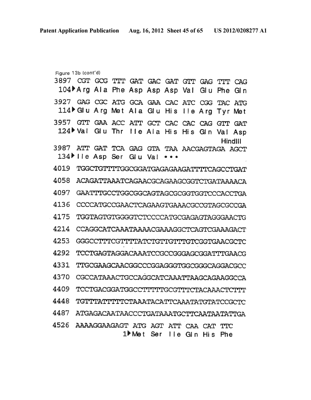 NOVEL DNA CLONING METHOD RELYING ON THE E.COLI recE/recT RECOMBINATION     SYSTEM - diagram, schematic, and image 46