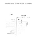 HEPATOCELLULAR CARCINOMA MARKER diagram and image